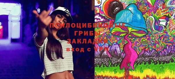 2c-b Алексеевка