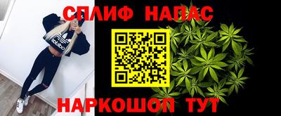 прущие грибы Заволжье