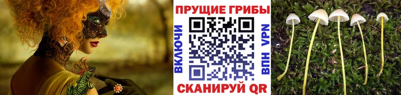 Галлюциногенные грибы мицелий  сколько стоит  ссылка на мегу маркетплейс  Глазов 